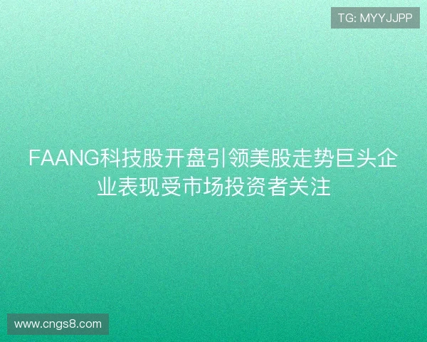 FAANG科技股开盘引领美股走势巨头企业表现受市场投资者关注 FAANG科技股开盘引领美股走势巨头企业表现受市场投资者关注